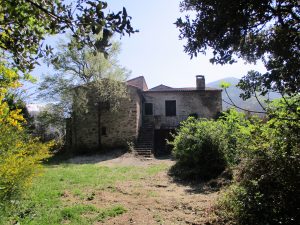 IMG_3685