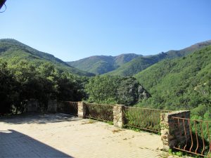 IMG_4088